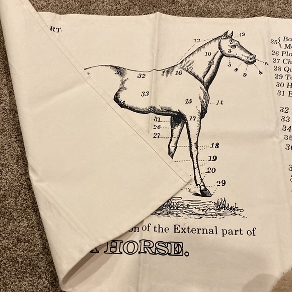 NWOT-Horse Canvas - Picture 2 of 4